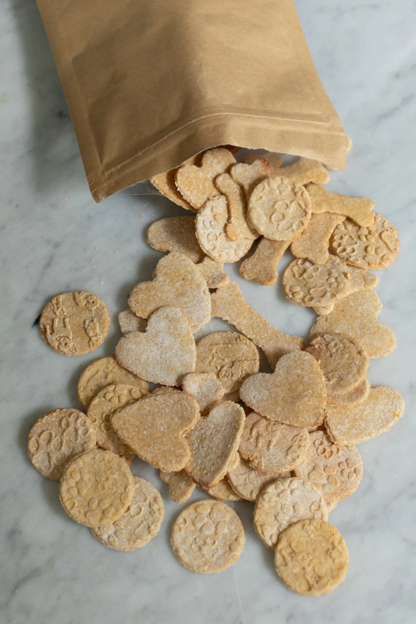 Embossed Dog Biscuits