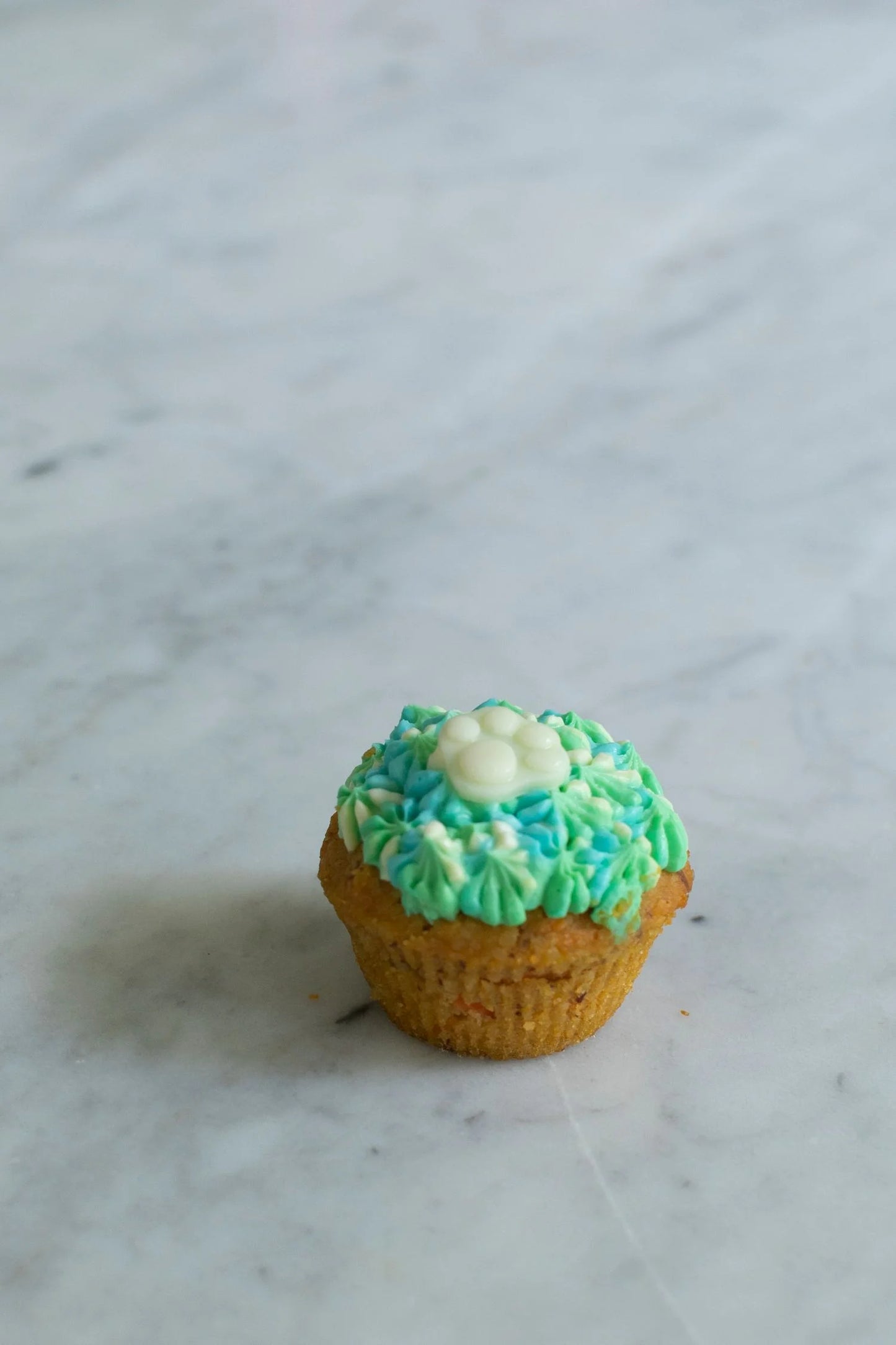 Carrot and Peanut Butter Pupcake