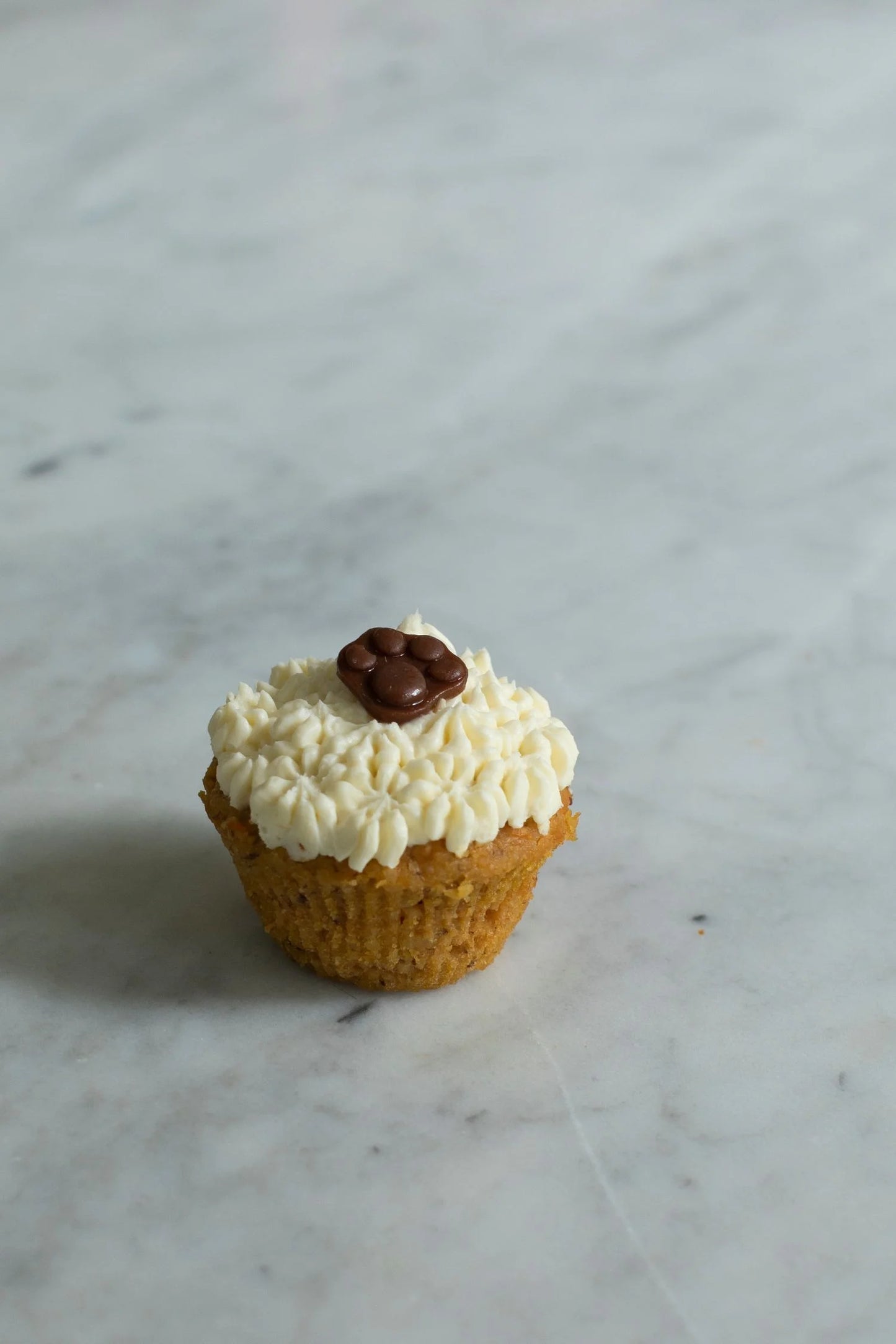 Carrot and Peanut Butter Pupcake