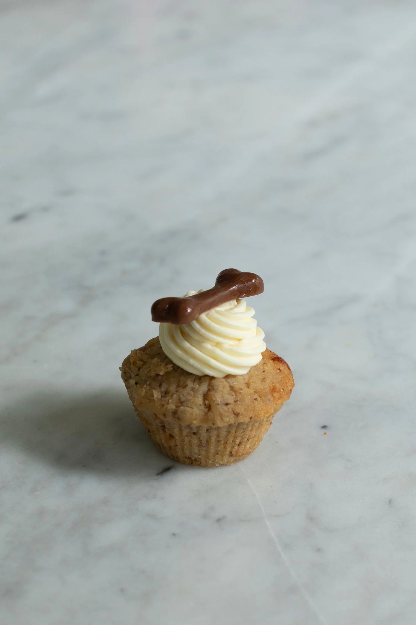 Carrot and Peanut Butter Pupcake