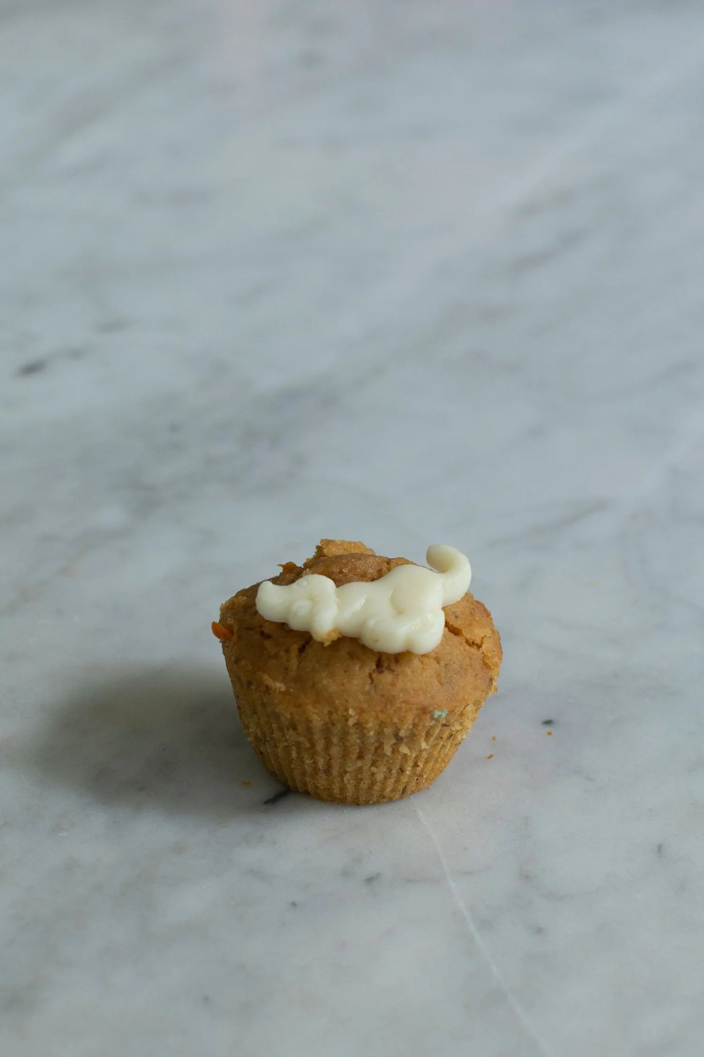 Carrot and Peanut Butter Pupcake