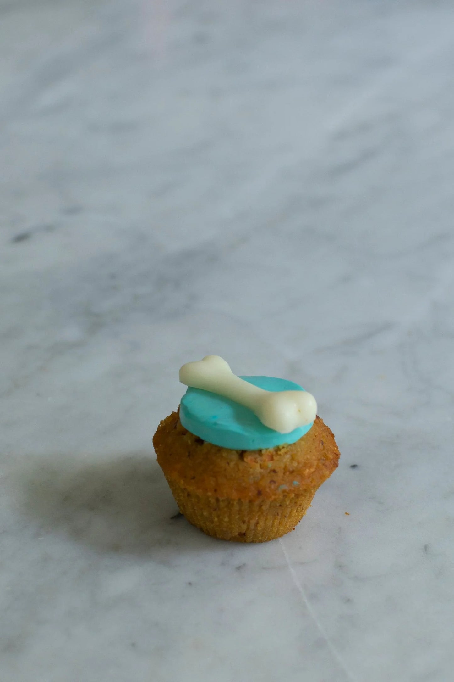 Carrot and Peanut Butter Pupcake