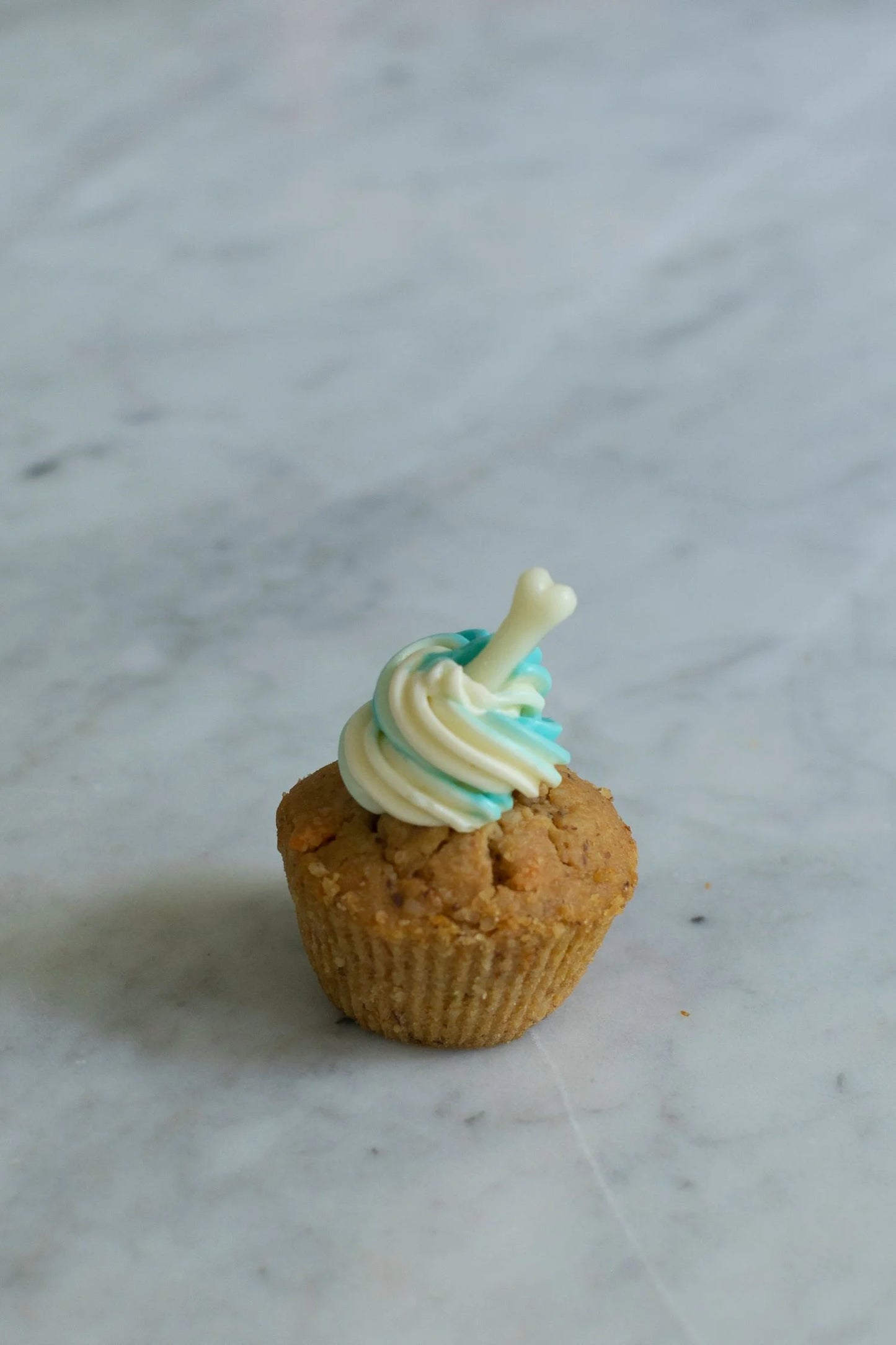 Carrot and Peanut Butter Pupcake