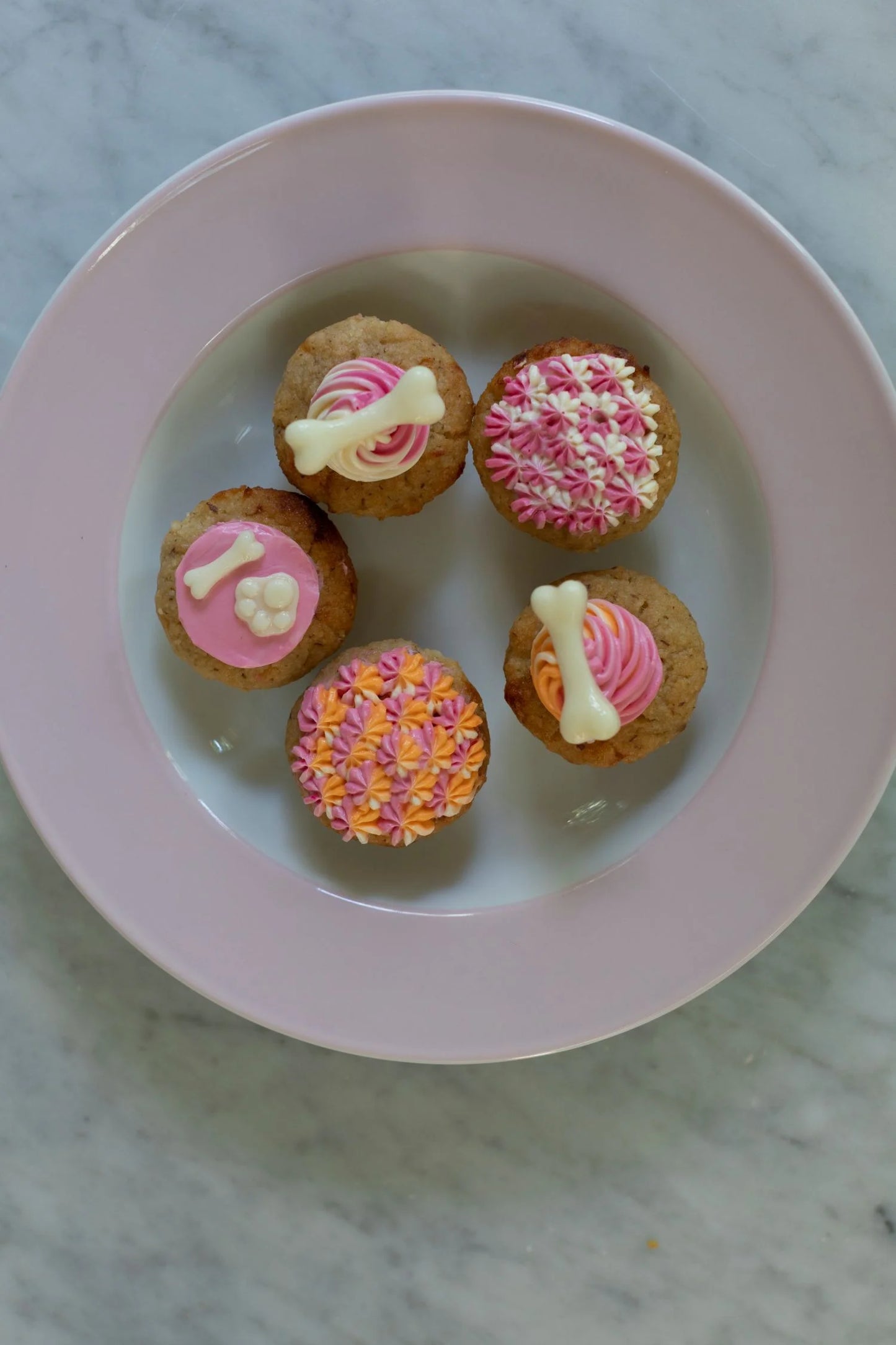 Apple and Cheese Pupcake