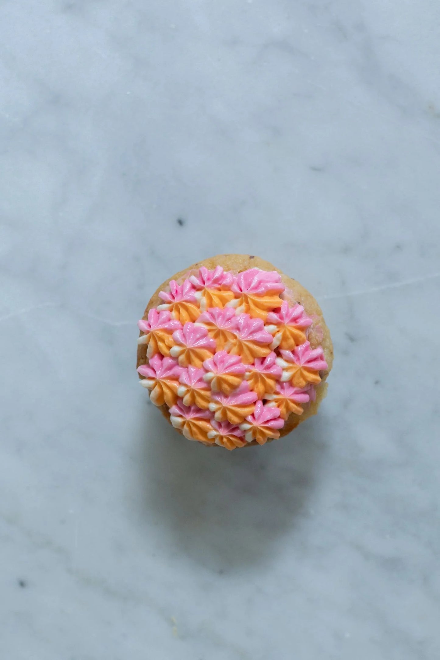 Apple and Cheese Pupcake
