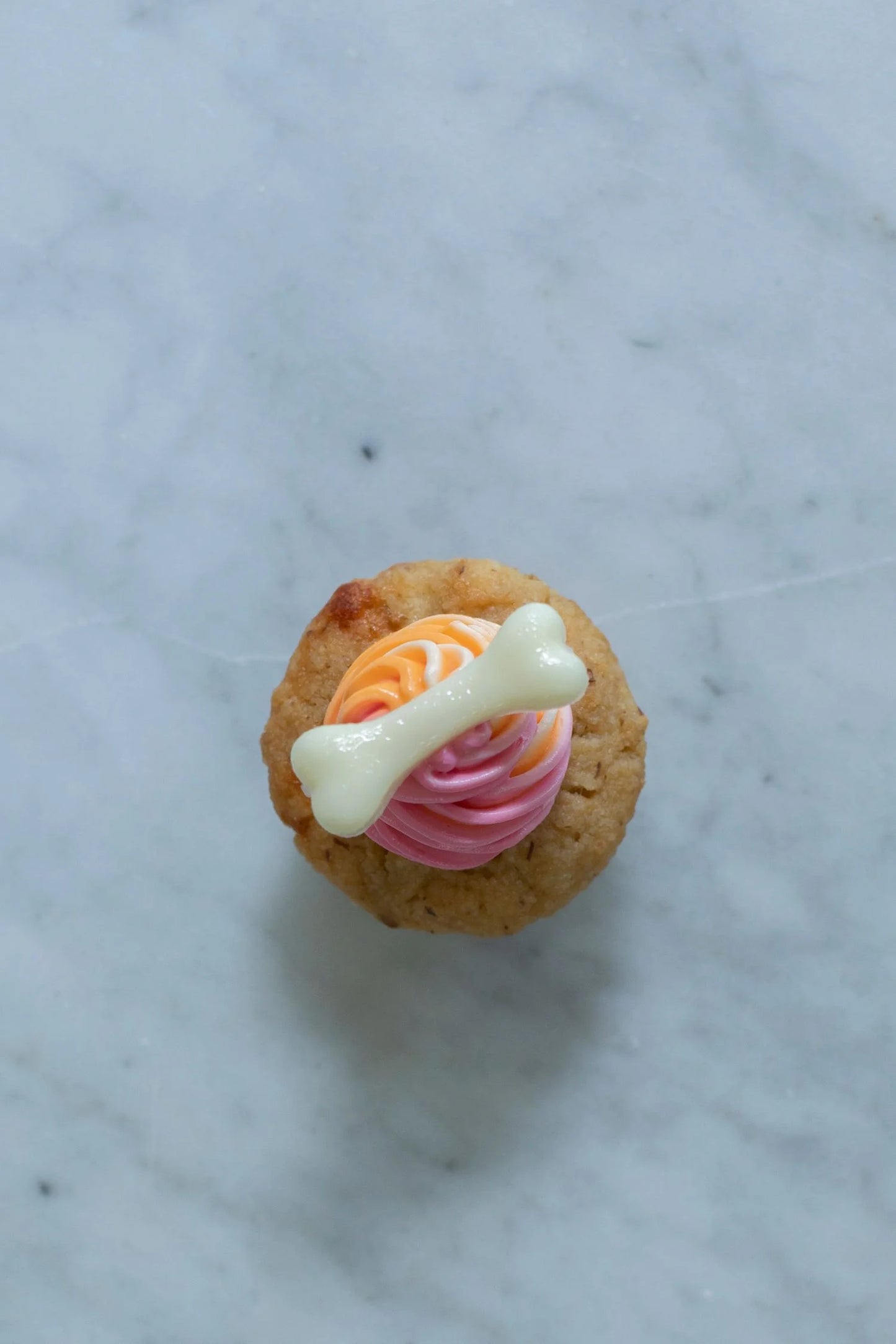Apple and Cheese Pupcake